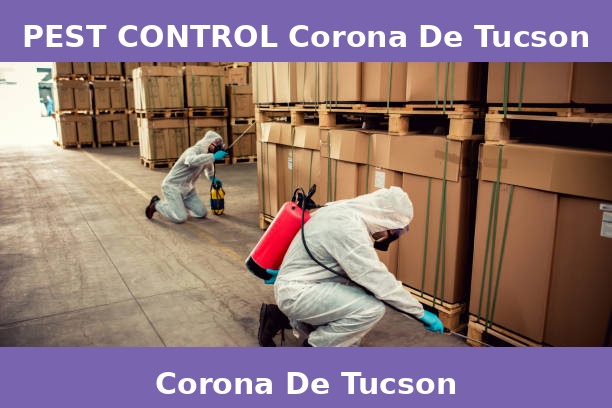 PEST CONTROL Corona De Tucson